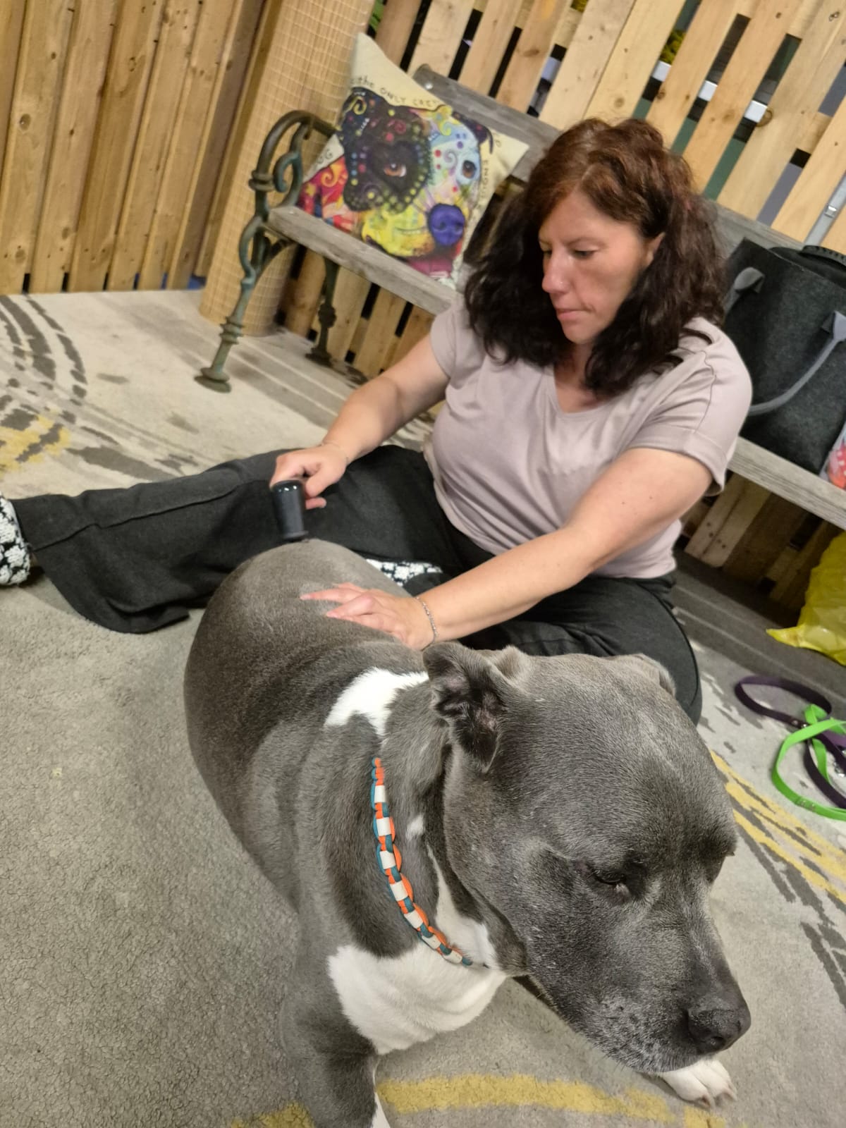 Massage eines entspannten Hundes